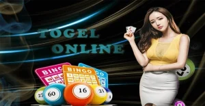Stecutogel Macau