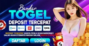 Platform Stecutogel