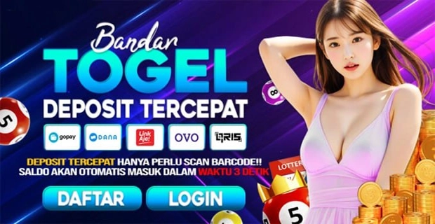 Platform Stecutogel